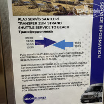 фото из отзыва ID 2212552