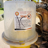 фото из отзыва ID 2212419