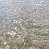 фото из отзыва ID 2212766