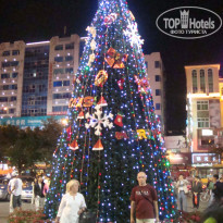 фото из отзыва ID 2212743