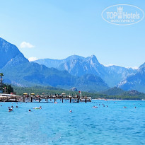 фото из отзыва ID 2212866