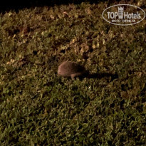 фото из отзыва ID 2212983