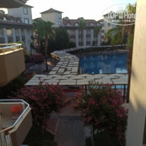 фото из отзыва ID 2213009