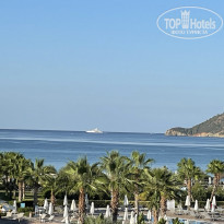 фото из отзыва ID 2213065