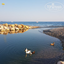 фото из отзыва ID 2211558