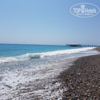 фото из отзыва ID 2211558