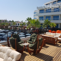 фото из отзыва ID 2211558