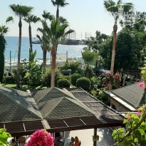 фото из отзыва ID 2213039