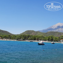 фото из отзыва ID 2213039