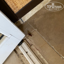 фото из отзыва ID 2213196