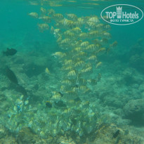 фото из отзыва ID 2213262