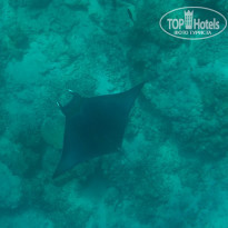 фото из отзыва ID 2213262