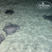 фото из отзыва ID 2213262