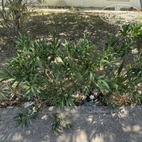 фото из отзыва ID 2213263