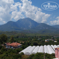 фото из отзыва ID 2213303