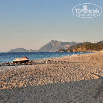 фото из отзыва ID 2213303