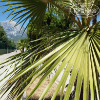 фото из отзыва ID 2213303