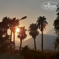 фото из отзыва ID 2213303