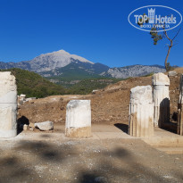 фото из отзыва ID 2213303