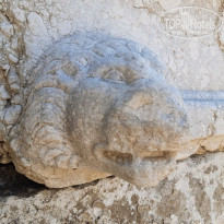 фото из отзыва ID 2213303