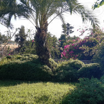 фото из отзыва ID 2213303