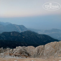 фото из отзыва ID 2213303