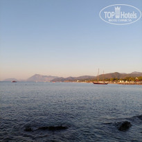 фото из отзыва ID 2213303