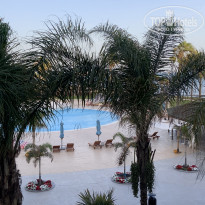 фото из отзыва ID 2213503