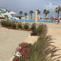 фото из отзыва ID 2213503