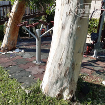 фото из отзыва ID 2213511