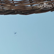 фото из отзыва ID 2211160