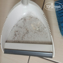 фото из отзыва ID 2213618