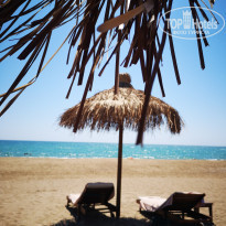 фото из отзыва ID 2213686