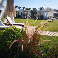 фото из отзыва ID 2213686