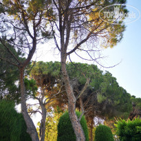 фото из отзыва ID 2213686