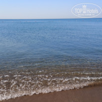 фото из отзыва ID 2213686