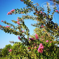 фото из отзыва ID 2213686