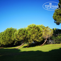 фото из отзыва ID 2213686