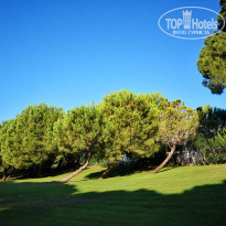 фото из отзыва ID 2213686