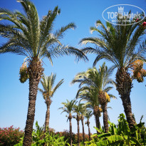 фото из отзыва ID 2213686