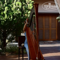 фото из отзыва ID 2213686