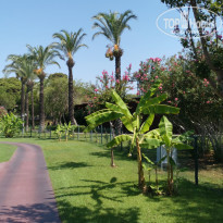 фото из отзыва ID 2213686