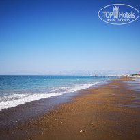 фото из отзыва ID 2213686