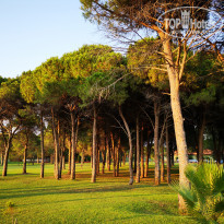 фото из отзыва ID 2213686