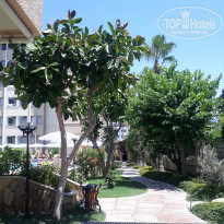 фото из отзыва ID 2213926