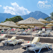 фото из отзыва ID 2214263