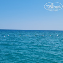 фото из отзыва ID 2214263