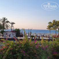 фото из отзыва ID 2214263