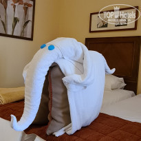 фото из отзыва ID 2214403