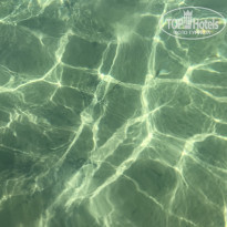 фото из отзыва ID 2214397